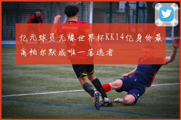 亿元球员无缘世界杯KK14亿身价最高帕尔默成唯一落选者