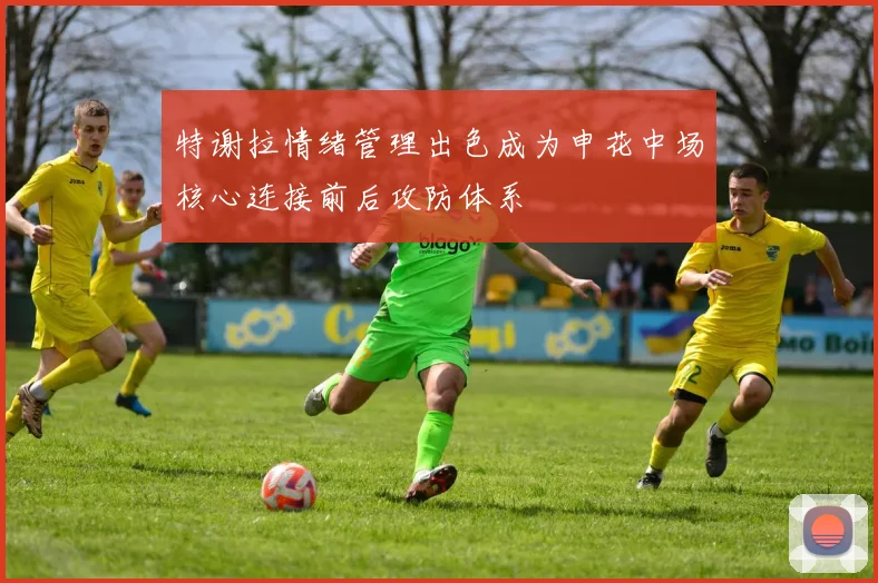 特谢拉情绪管理出色成为申花中场核心连接前后攻防体系