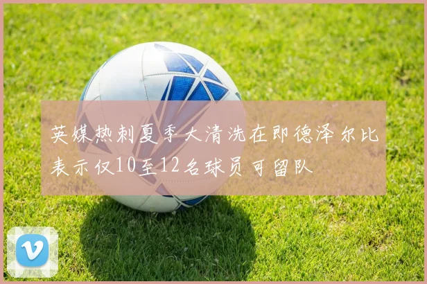 英媒热刺夏季大清洗在即德泽尔比表示仅10至12名球员可留队