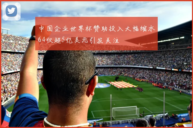 中国企业世界杯赞助投入大幅缩水64仅超5亿美元引发关注